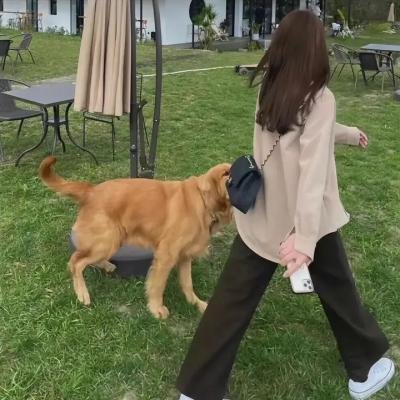 斯人似我 封面